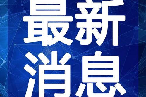 枸杞原浆爆料视频大全最新,最新爆料视频大全深度解析